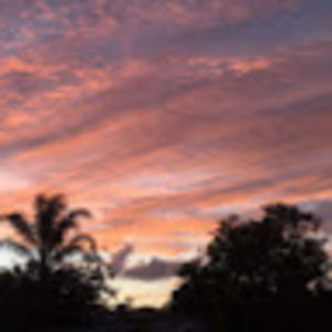 Meet your Posher, Isobelle